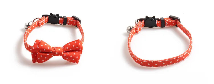 Bright and Beautiful Breakaway Cat Collar