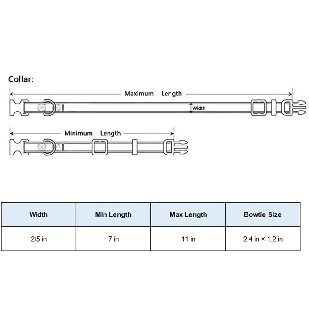 Bright and Beautiful Breakaway Cat Collar