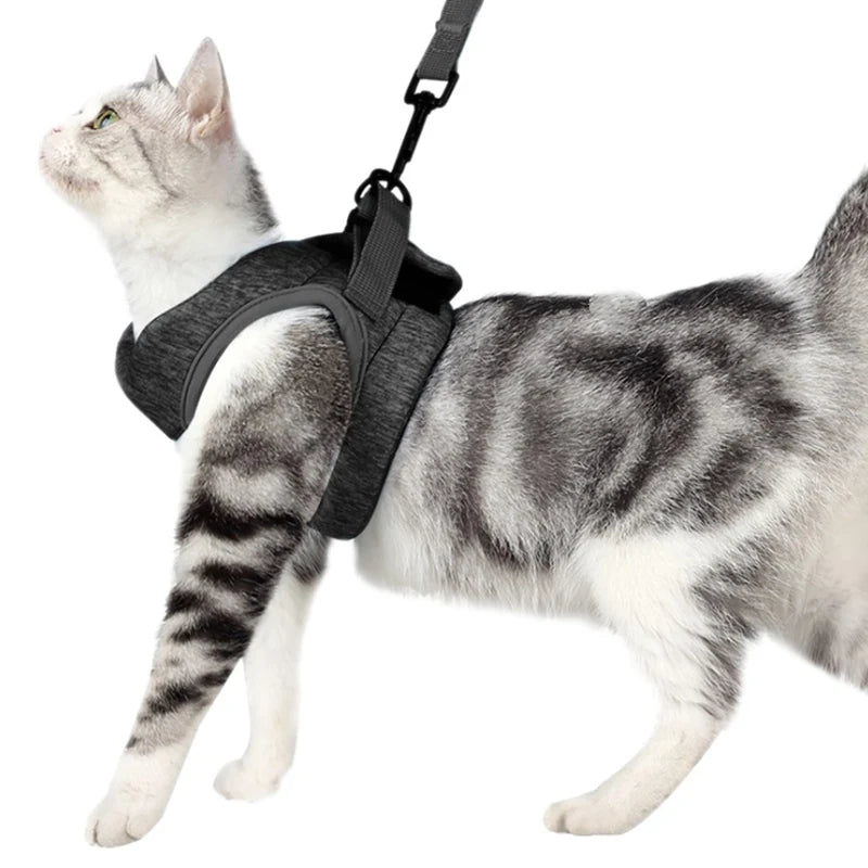 Touchy Cat Adjustable Harness Anti-escape