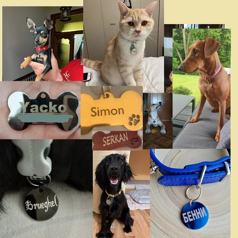 Bone Shaped Pet ID Tag