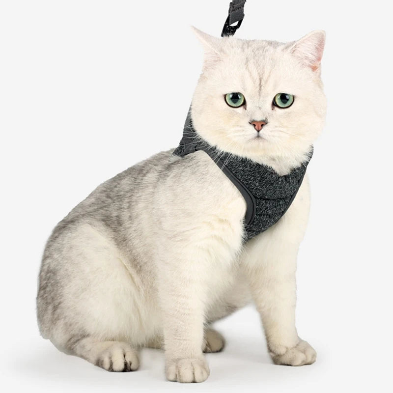 Touchy Cat Adjustable Harness Anti-escape