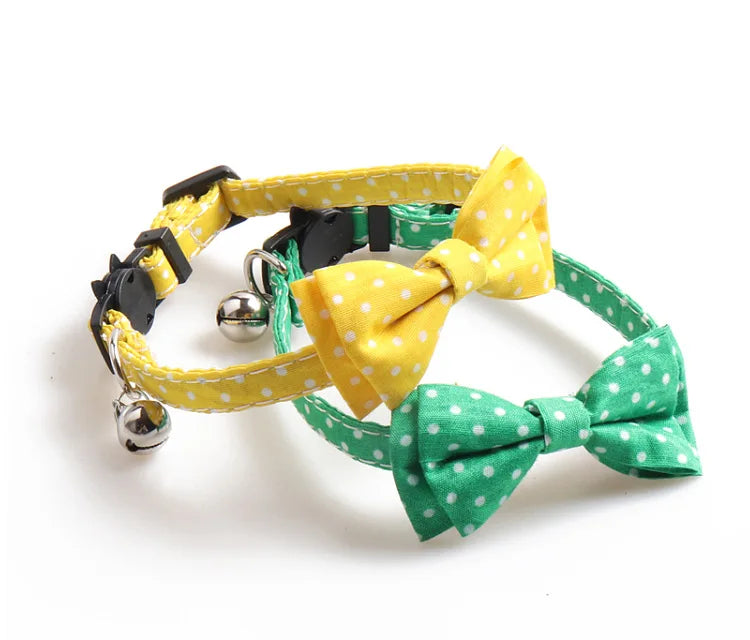 Bright and Beautiful Breakaway Cat Collar