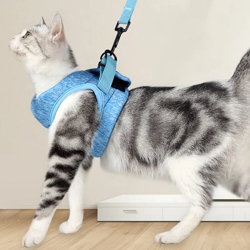 Touchy Cat Adjustable Harness Anti-escape