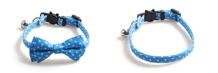 Bright and Beautiful Breakaway Cat Collar