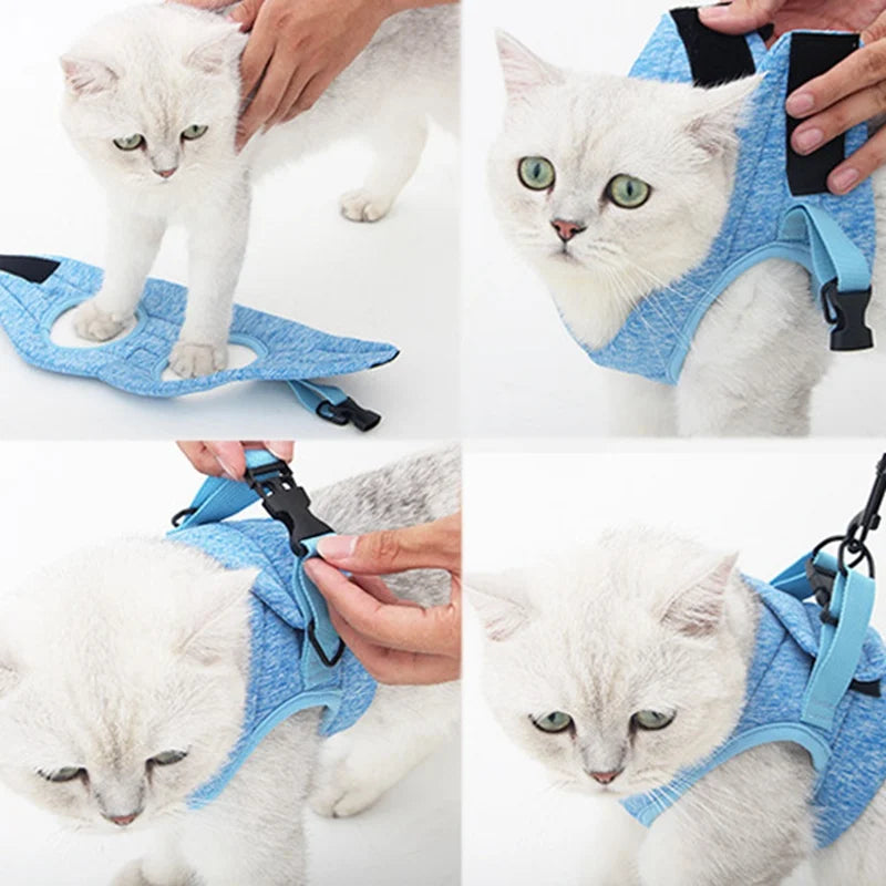 Touchy Cat Adjustable Harness Anti-escape