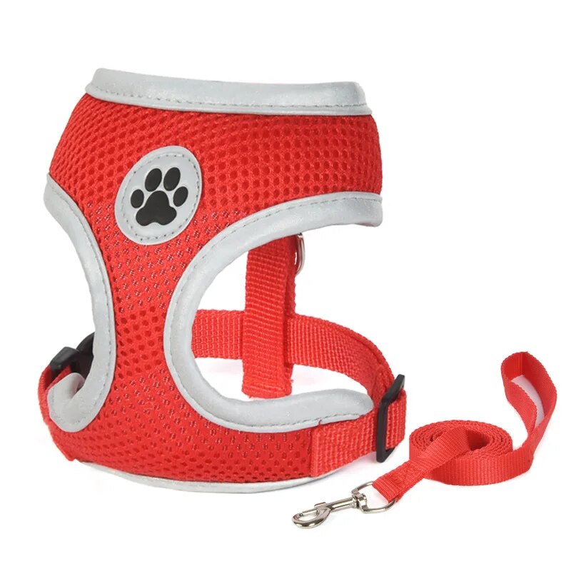 Alert Red Reflective Harness and Leash Set