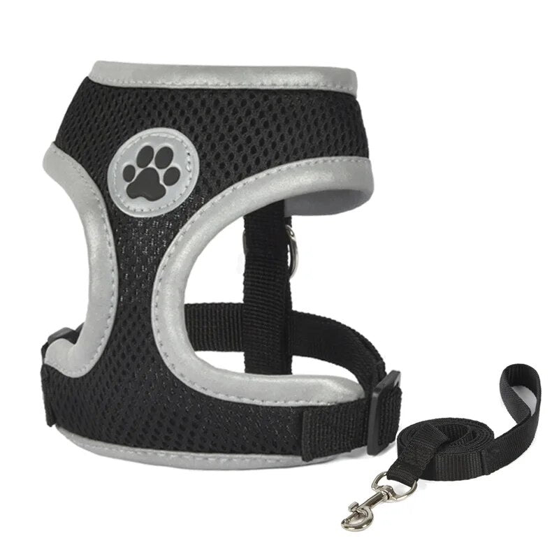 Midnight Black Reflective Harness and Leash Set