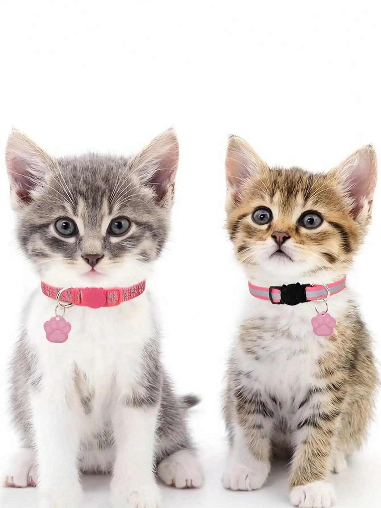 Classical Pet Paw ID Tag