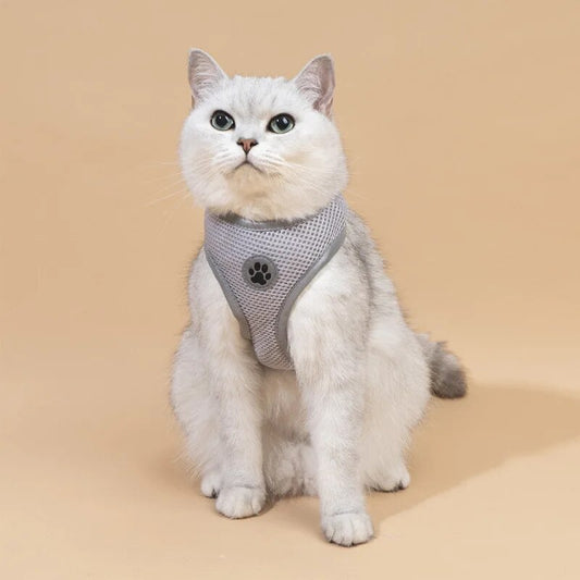 Cloudy Grey Reflective Harness and Leash Set