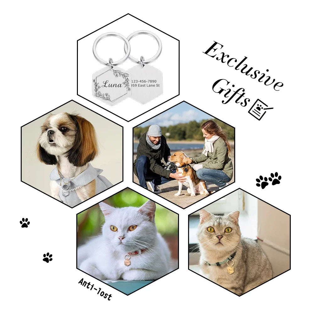 Regal Hexagon  Cat ID Tag