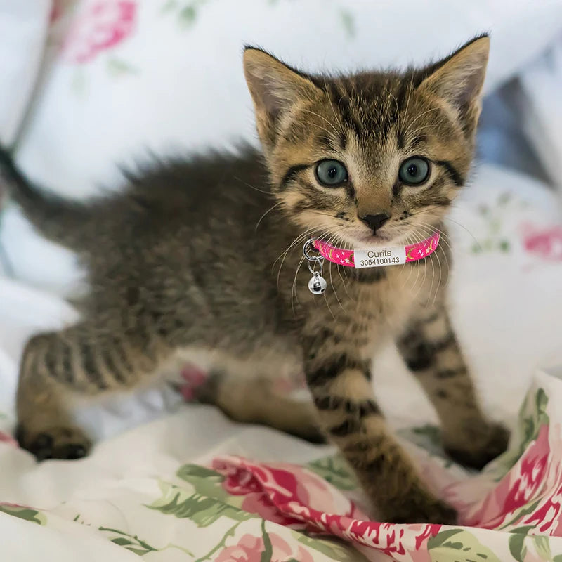 Black ID Tag Star & Moon Cat Collar