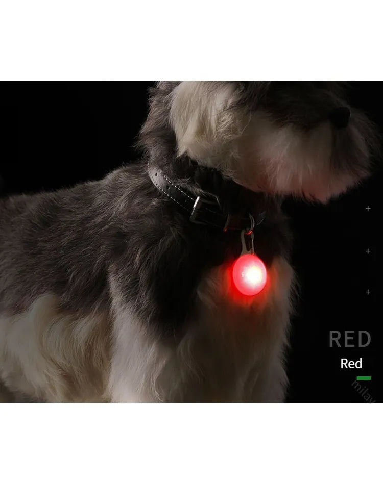 Light Up Luminous Cat Collar Glowing Pendant