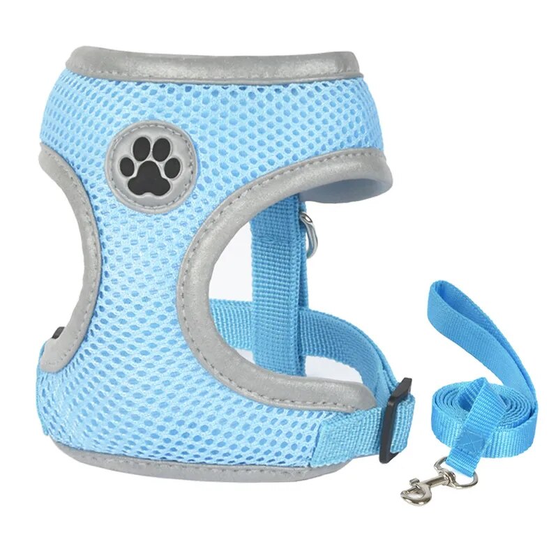 Sky Blue Reflective Harness and Leash Set