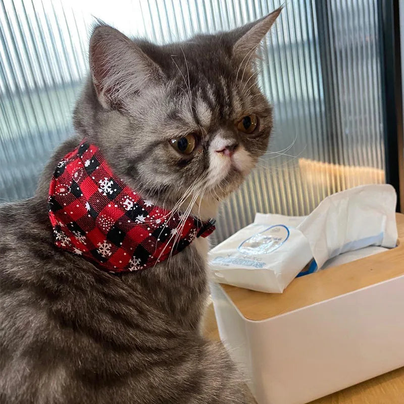 Distinguished Gentlecat's Bow Tie/Bandana Evening Collar