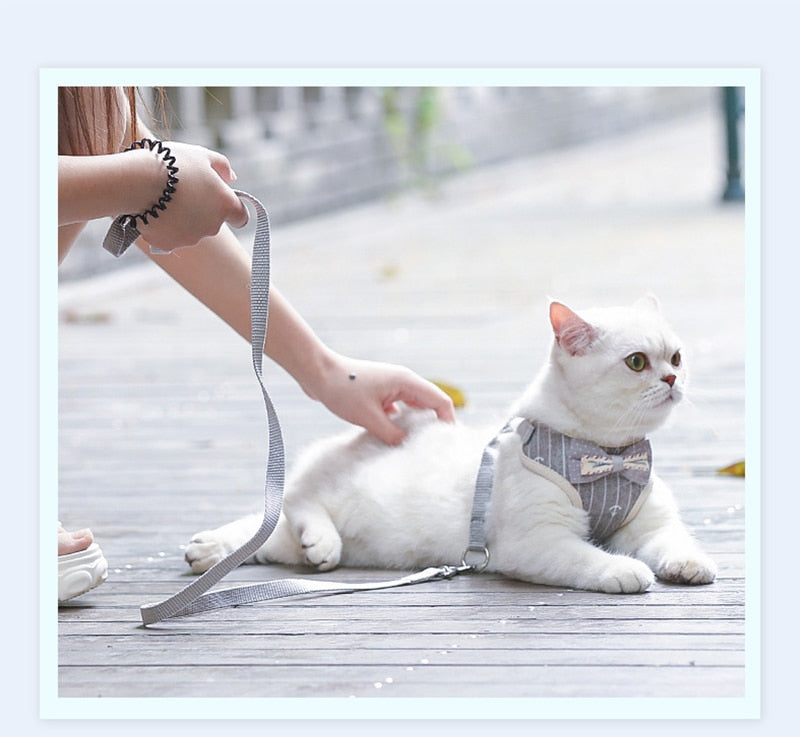 Adorably Puurrfect Bowknot Cat Harness