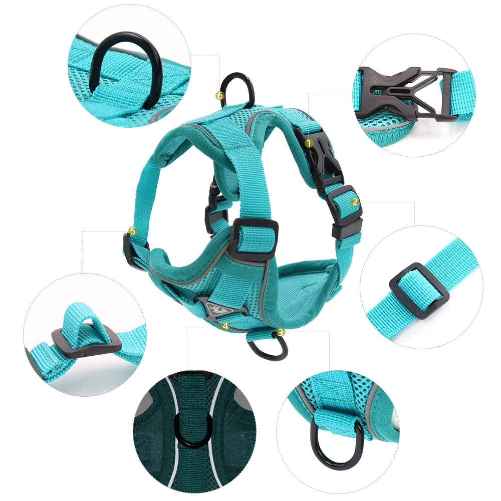 Easy Control Escape Proof Breathable Cat Harness W/ Matching Leash