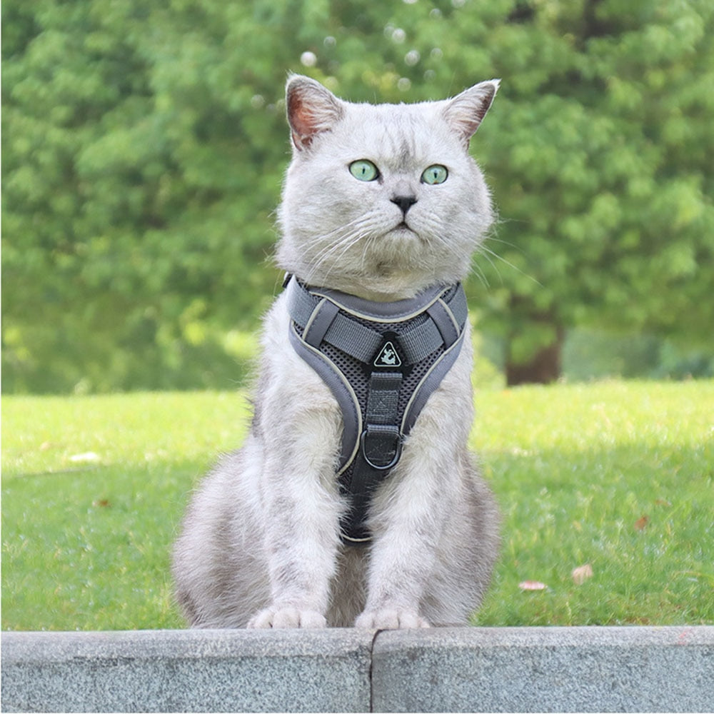 Easy Control Escape Proof Breathable Cat Harness W/ Matching Leash