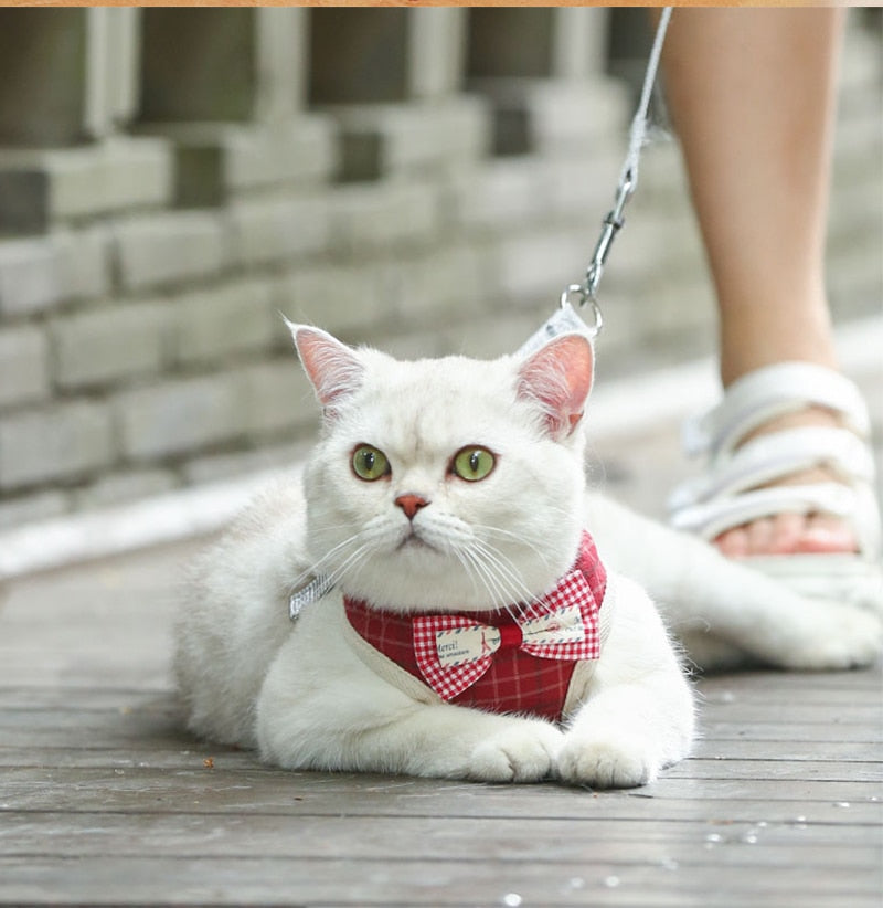 Adorably Puurrfect Bowknot Cat Harness