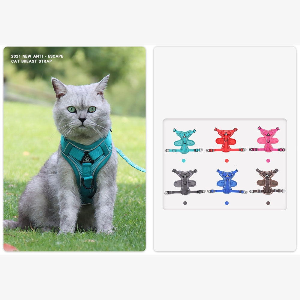 Easy Control Escape Proof Breathable Cat Harness W/ Matching Leash