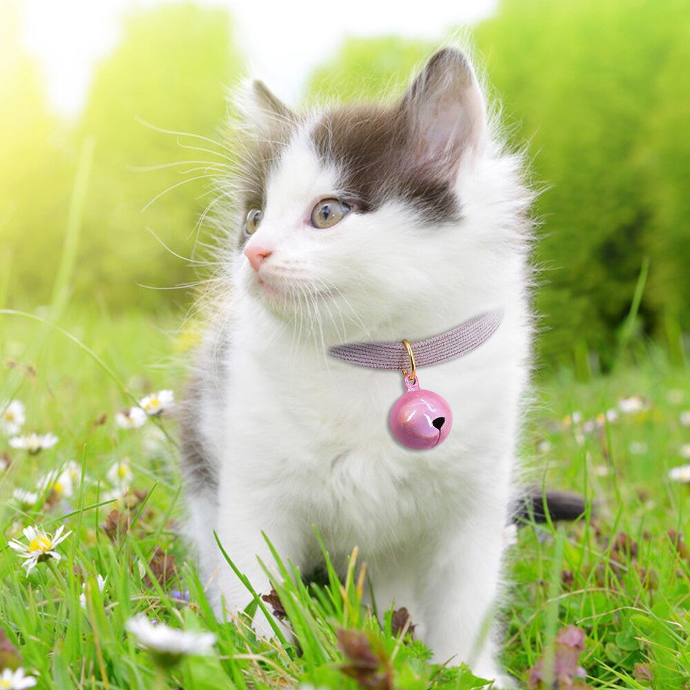 Soft and Fuzzy Breakaway Cat Collar