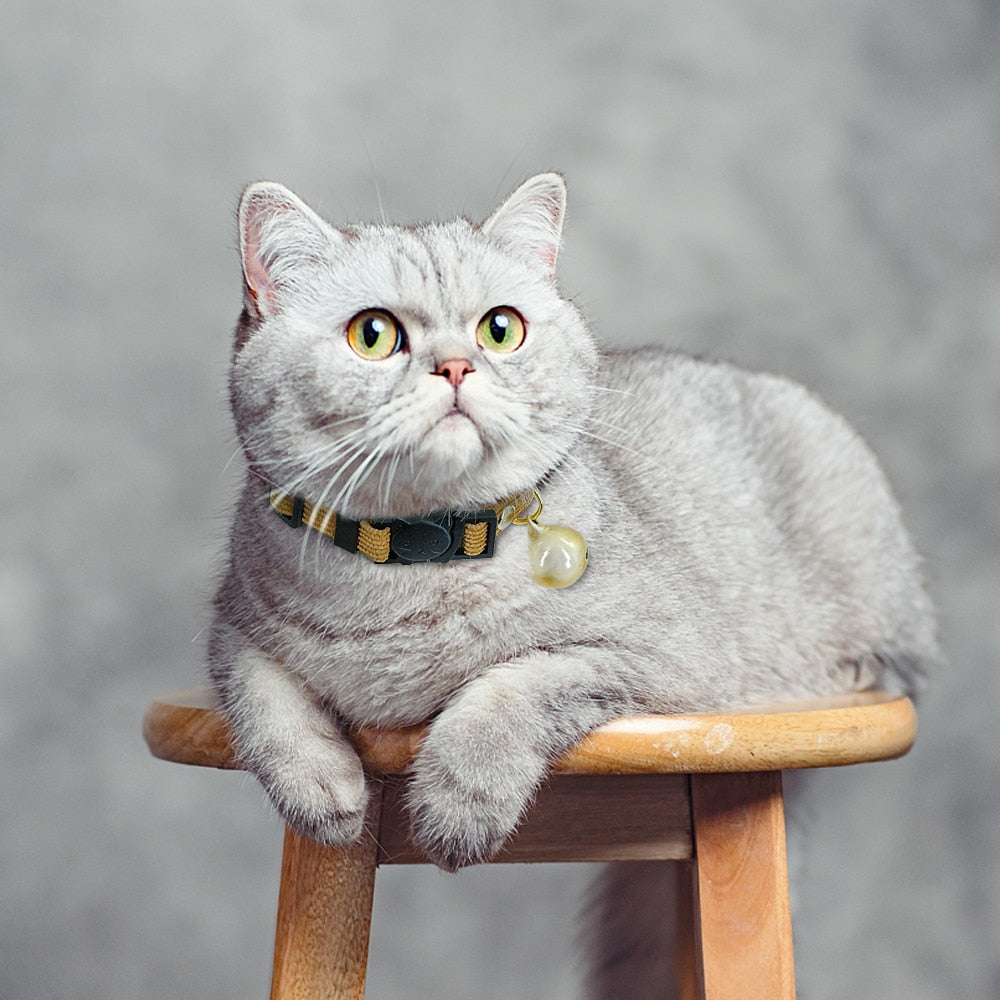 Soft and Fuzzy Breakaway Cat Collar