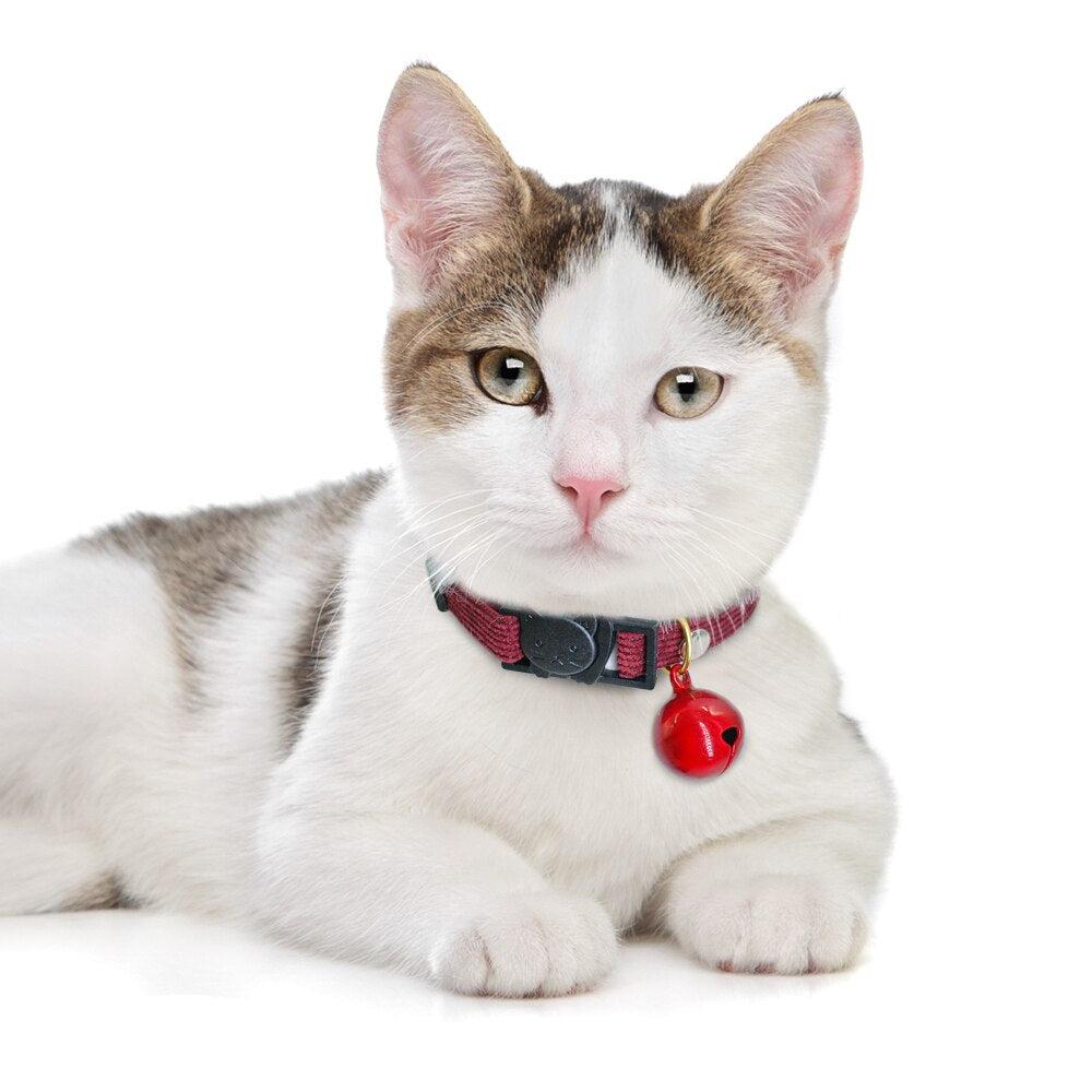 Soft and Fuzzy Breakaway Cat Collar