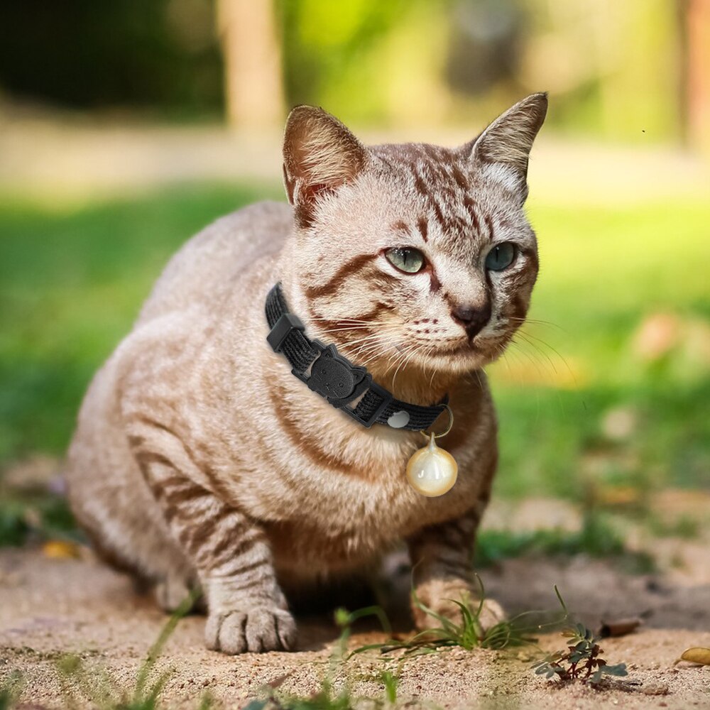 Soft and Fuzzy Breakaway Cat Collar