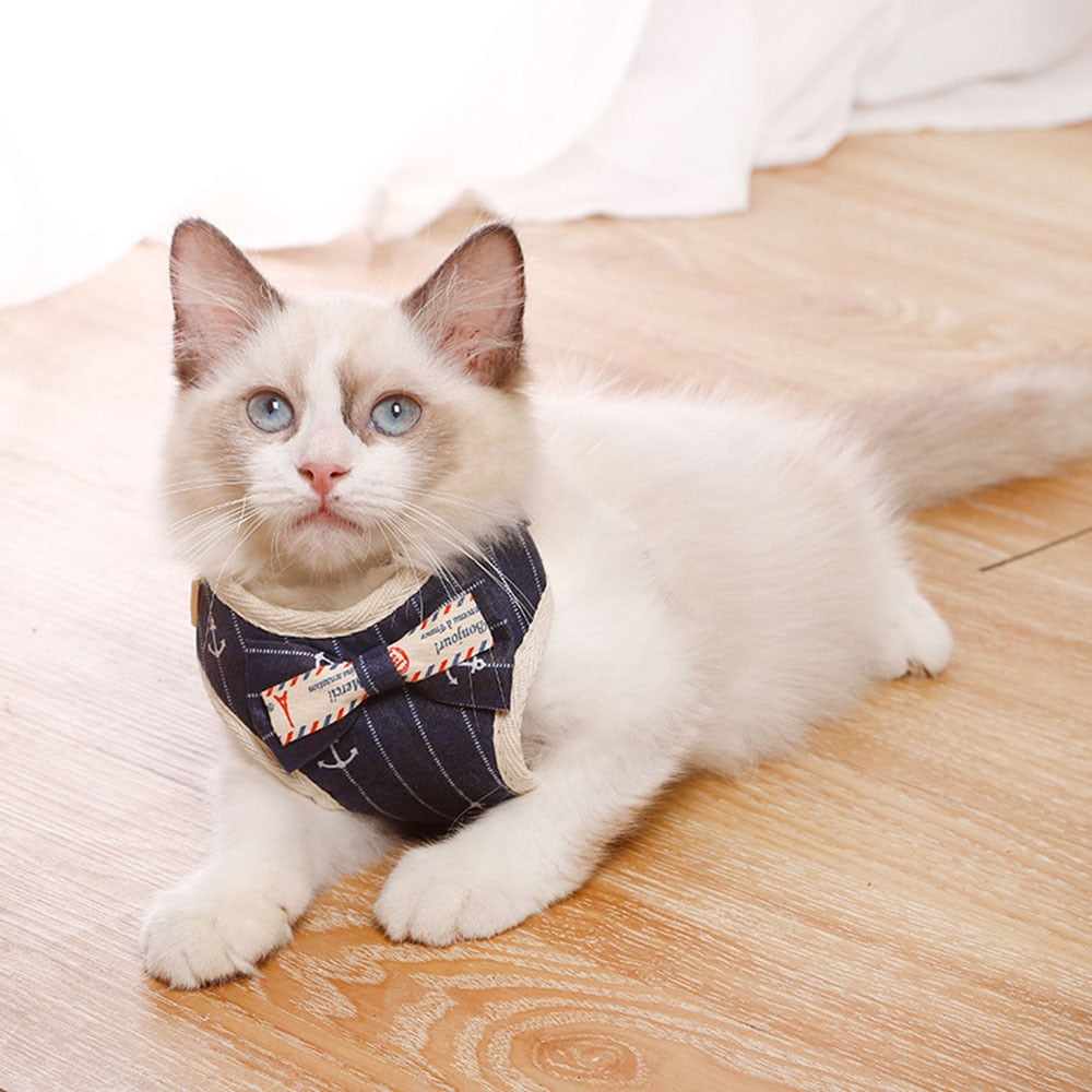 Adorably Puurrfect Bowknot Cat Harness