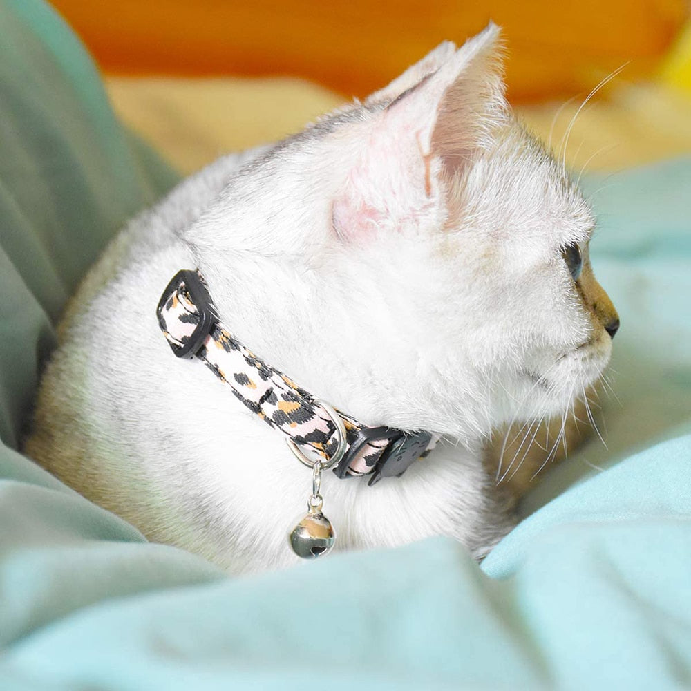 Leopard Print Breakaway Cat Collar