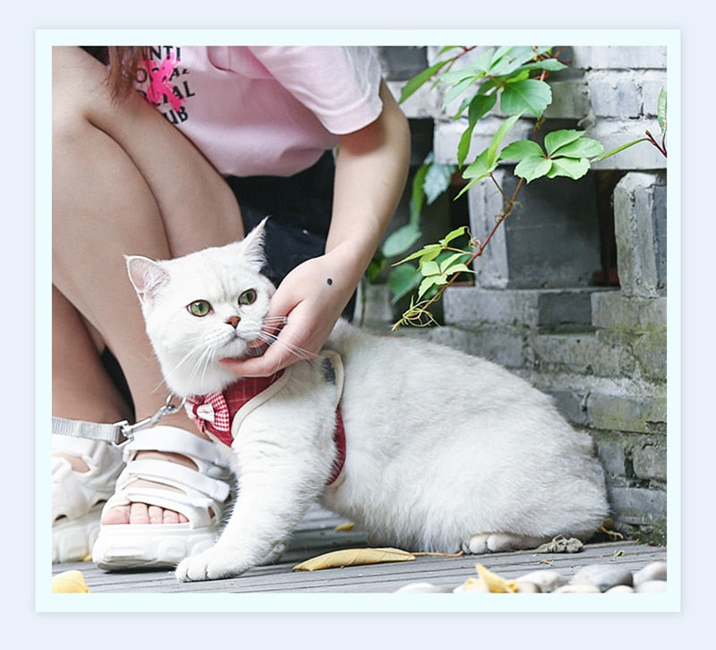 Adorably Puurrfect Bowknot Cat Harness