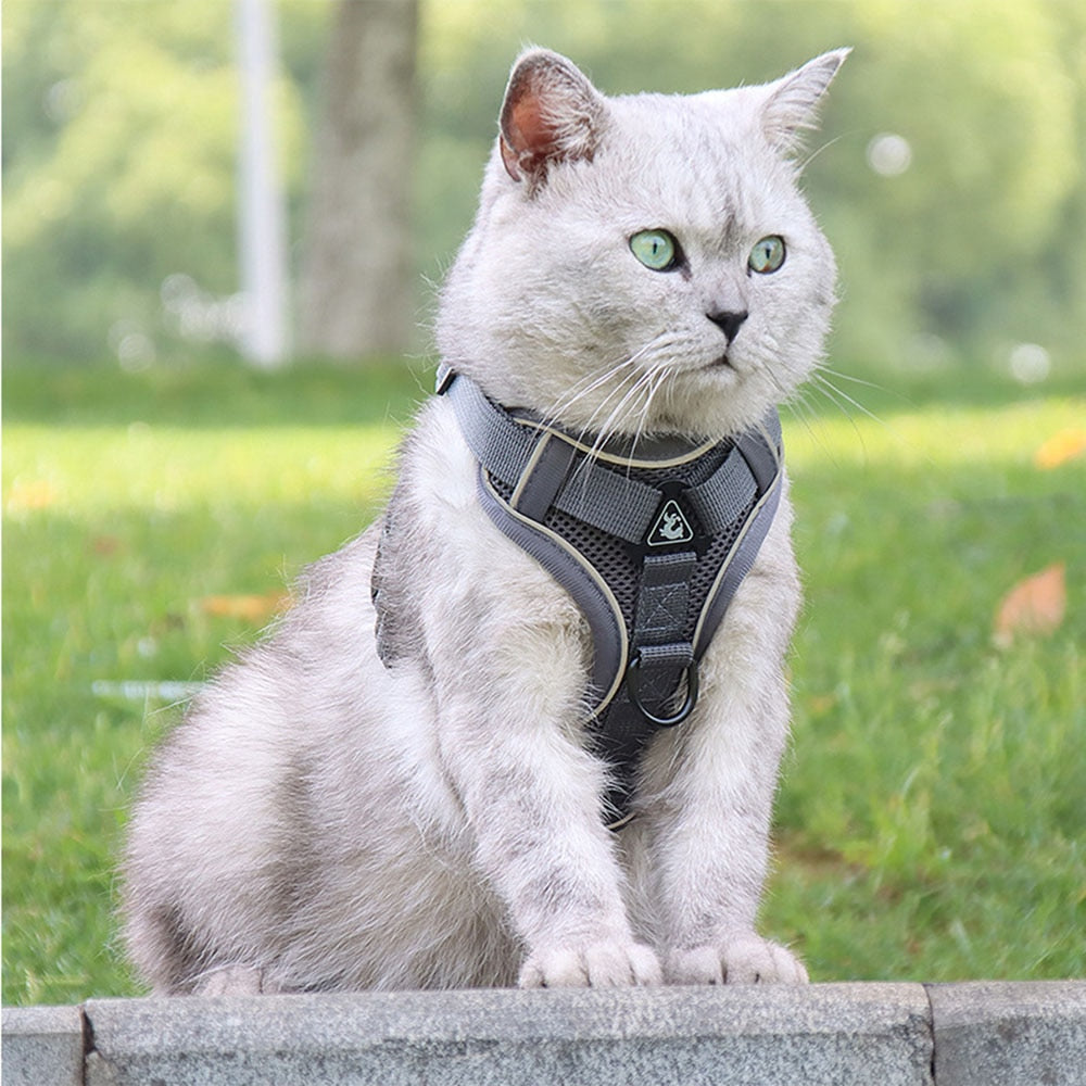 Easy Control Escape Proof Breathable Cat Harness W/ Matching Leash