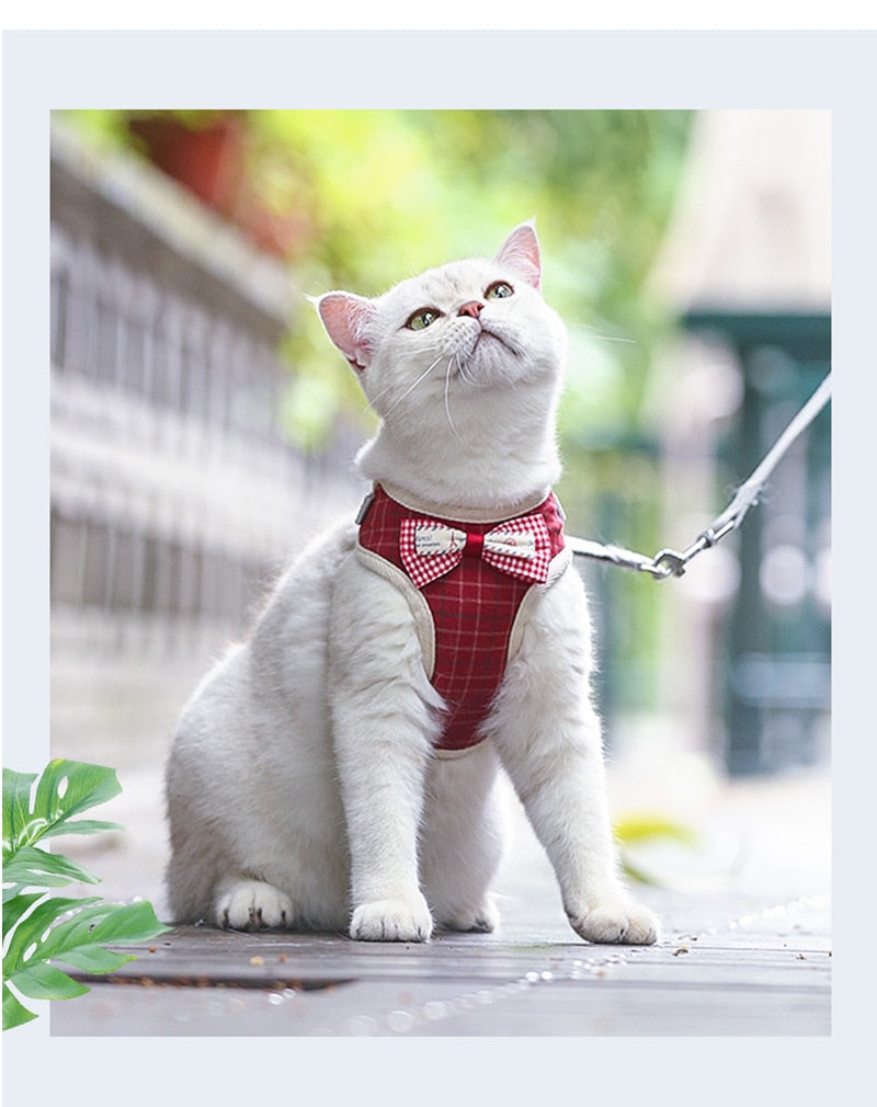 Adorably Puurrfect Bowknot Cat Harness