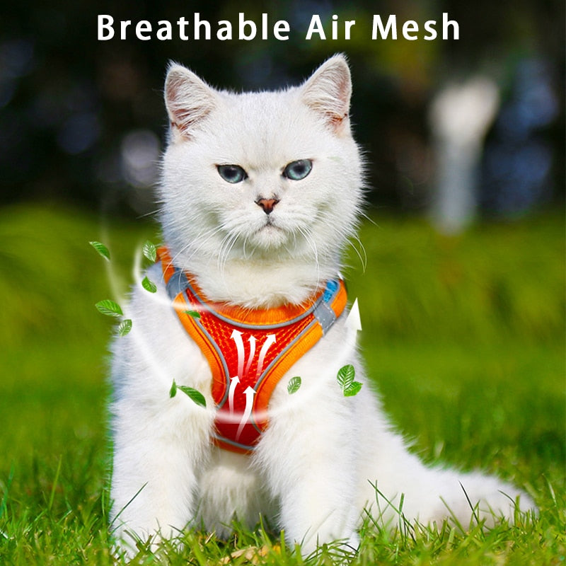 Reflective Cat Vest With Leash Adjustable