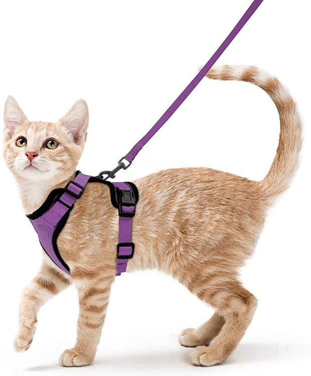 Escape Proof Soft Mesh Small Cat Harness W/ Matching  Leash