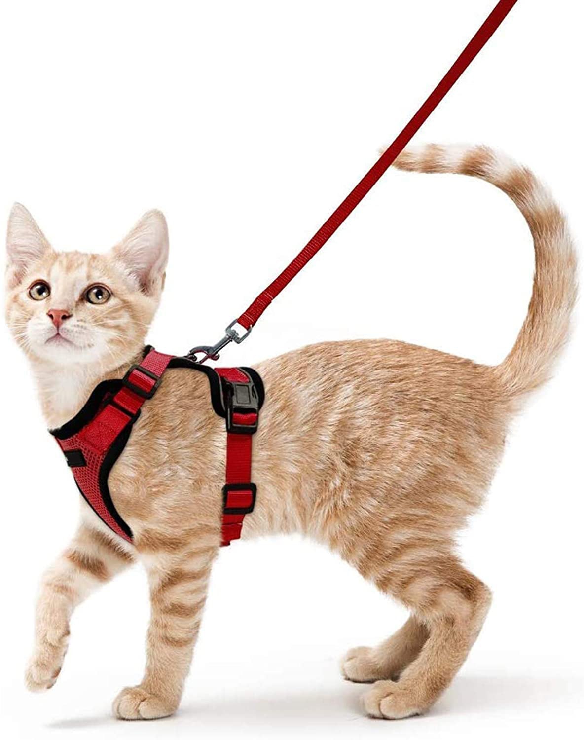 Escape Proof Soft Mesh Small Cat Harness W/ Matching  Leash