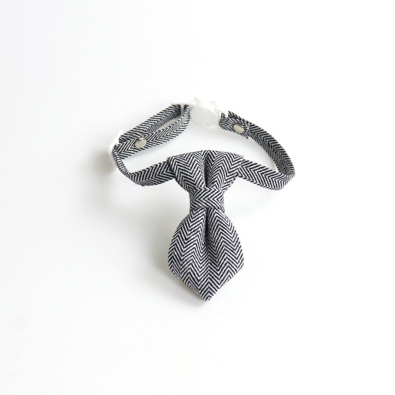 Going Out In Style Bowknot and Tie Breakaway Collar.