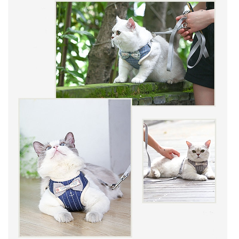 Adorably Puurrfect Bowknot Cat Harness