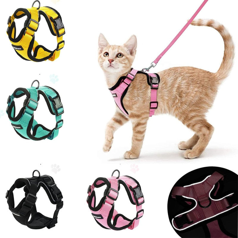 Escape Proof Soft Mesh Small Cat Harness W/ Matching  Leash