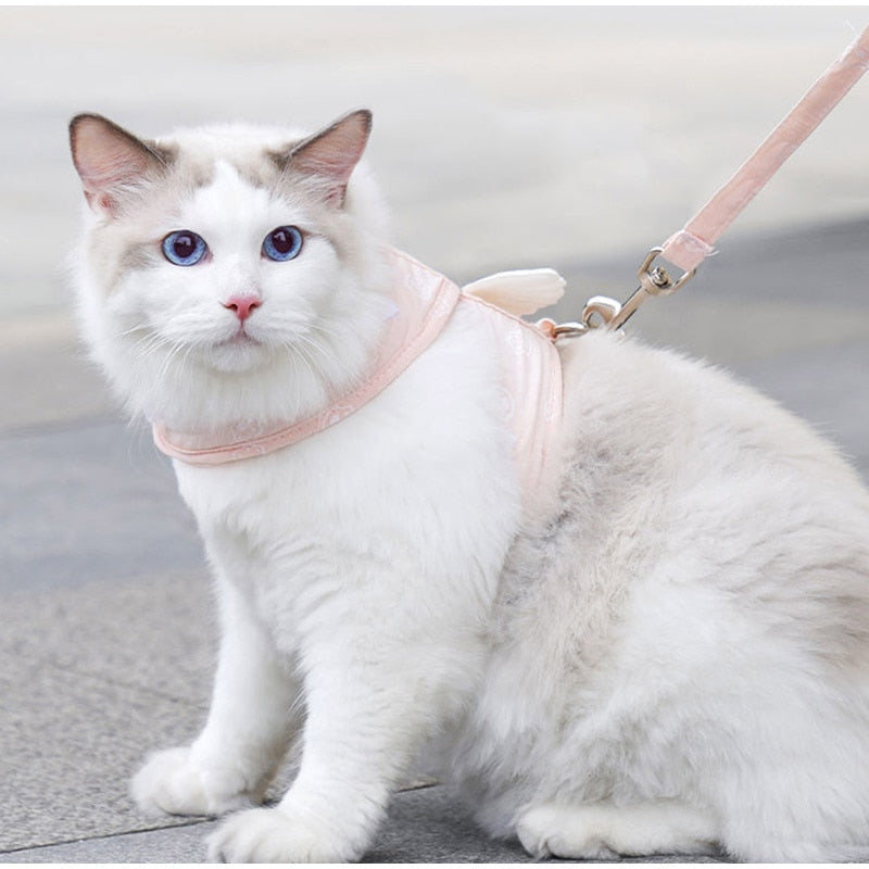 Angel Wings Harness