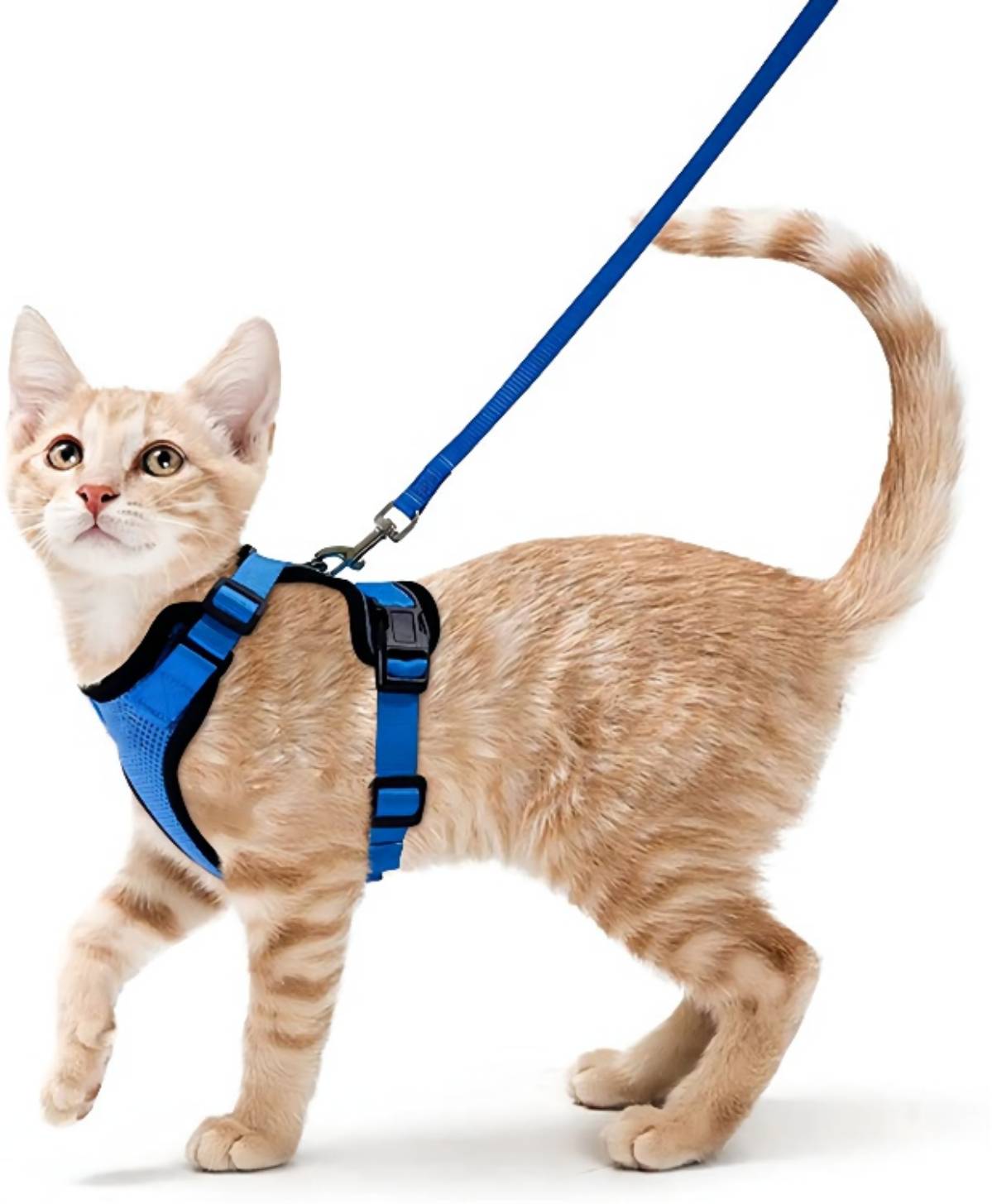 Escape Proof Soft Mesh Small Cat Harness W/ Matching  Leash