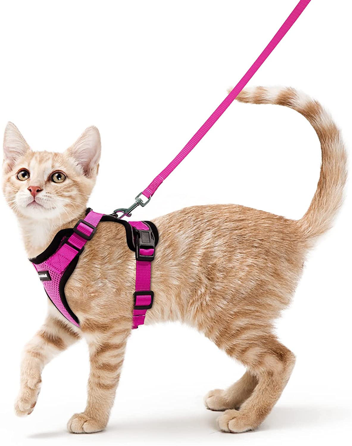 Escape Proof Soft Mesh Small Cat Harness W/ Matching  Leash