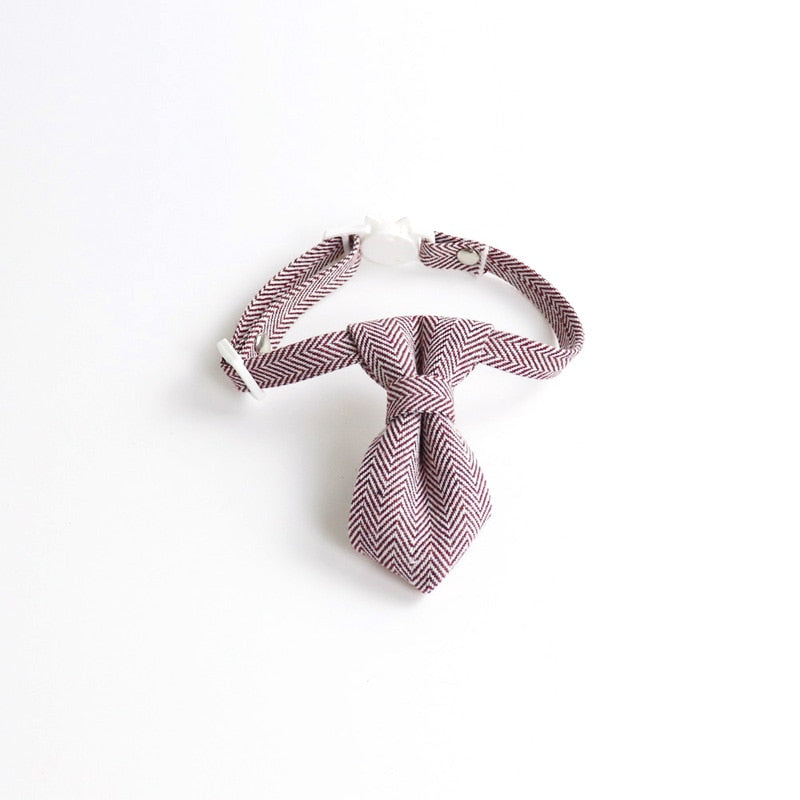 Going Out In Style Bowknot and Tie Breakaway Collar.