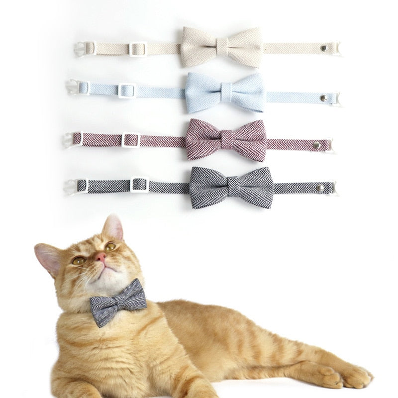 Going Out In Style Bowknot and Tie Breakaway Collar.